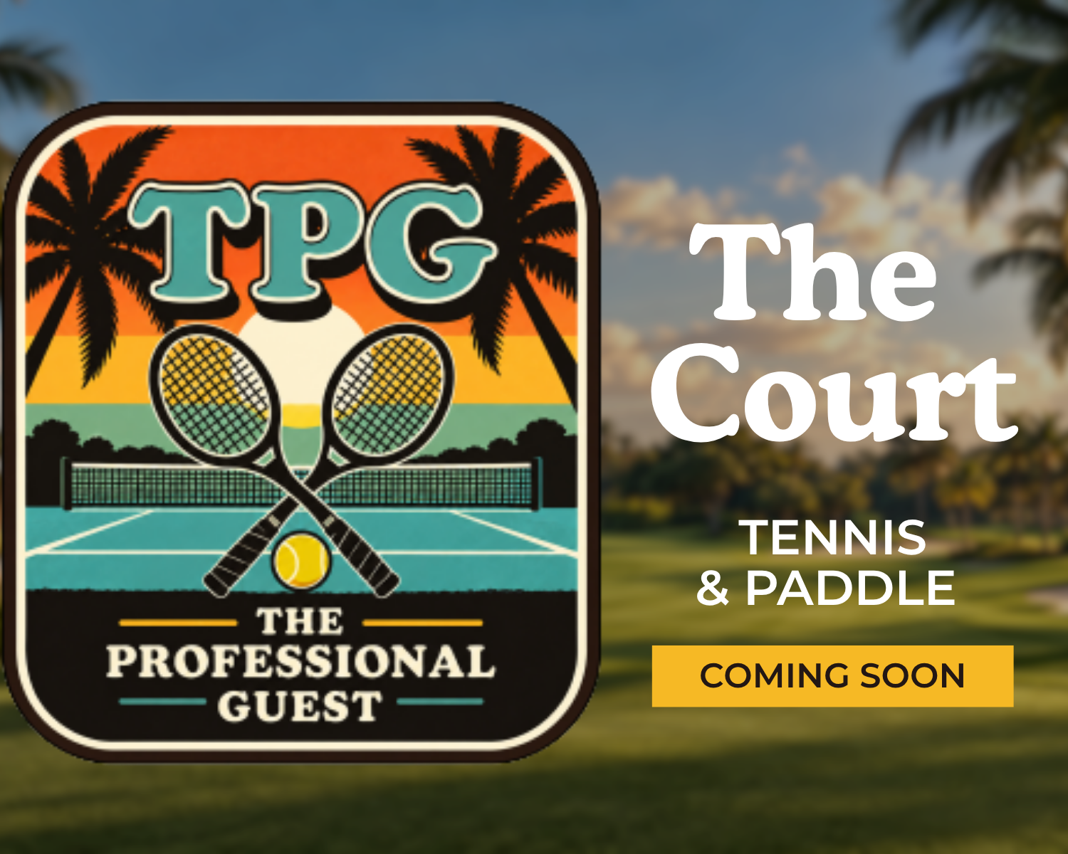 THE COURT COLLECTION (COMING SOON)